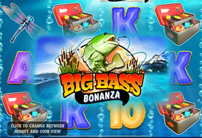 Player enjoying a thrilling live dealer game at Betikacasino Online.